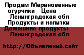 Продам Маринованные огурчики › Цена ­ 400 - Ленинградская обл. Продукты и напитки » Домашние продукты   . Ленинградская обл.